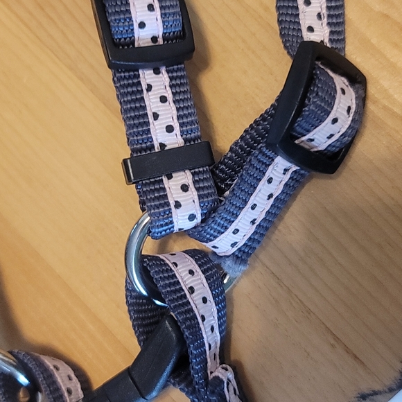 Femle Dog Polkadot HARNESS and MATCHING LEASH - Picture 6 of 10